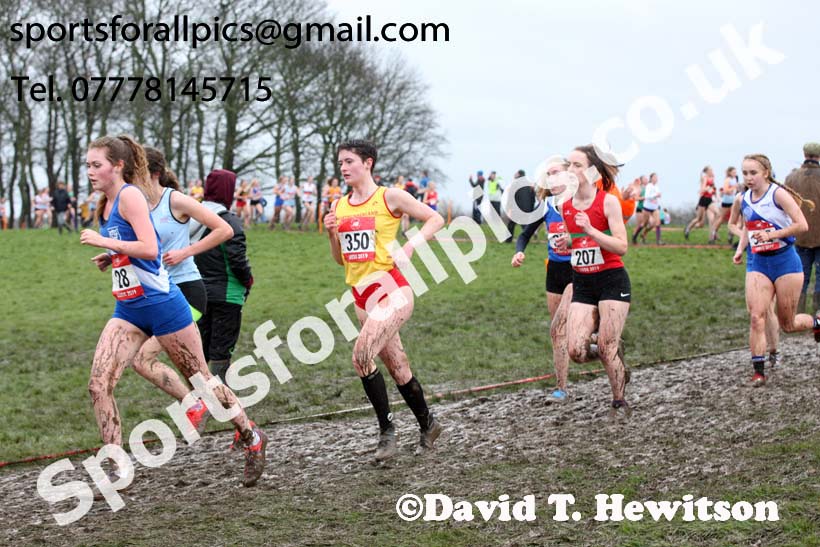 Senior girls 2019 New Balance English Schools Cross Country Champs, Temple Newsam, Leeds. Photo:  David T. Hewitson/Sports for All Pics